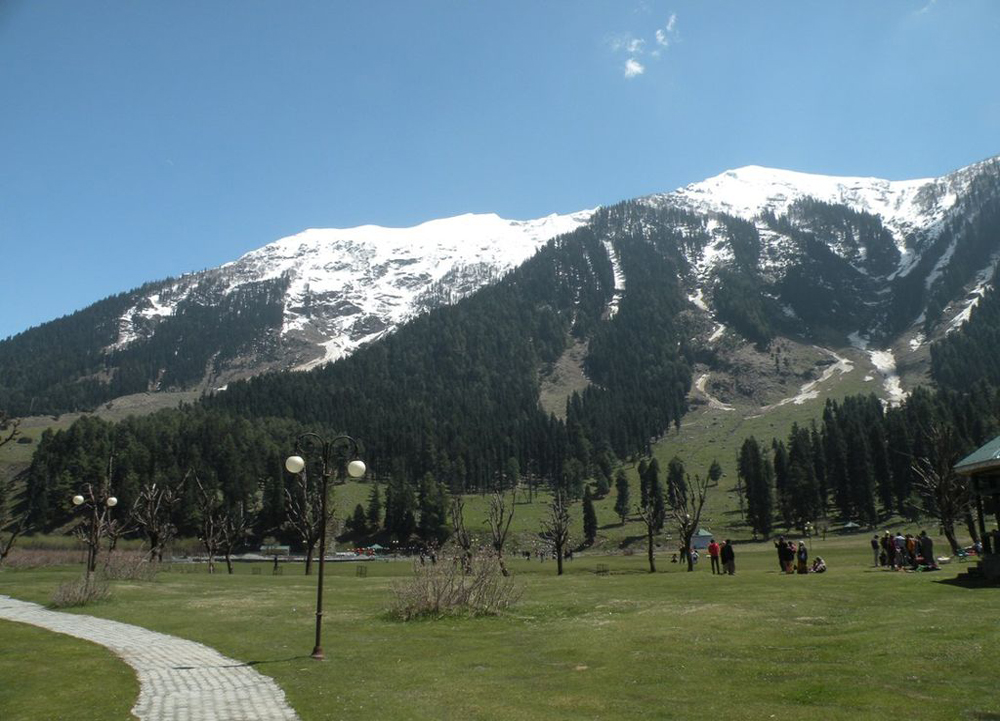 Best Travel Service in Manali